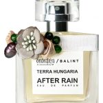 عطر ادکلن افتِر رِین بَلینت پَرْفِیومز - After Rain Balint Parfums - بررسی، قیمت و خرید
