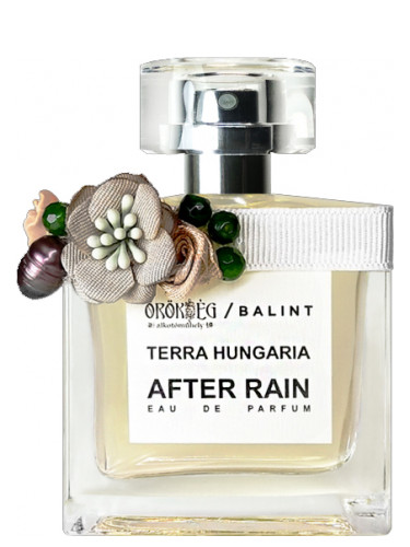 عطر ادکلن افتِر رِین بَلینت پَرْفِیومز - After Rain Balint Parfums - بررسی، قیمت و خرید