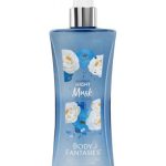 عطر ادکلن نایت ماسک بادی فانتزیز - Night Musk Body Fantasies - بررسی، قیمت و خرید