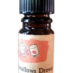عطر ادکلن مارشملوز درون آرکانا کراوز - Marshmallows Drown! Arcana Craves - بررسی، قیمت و خرید