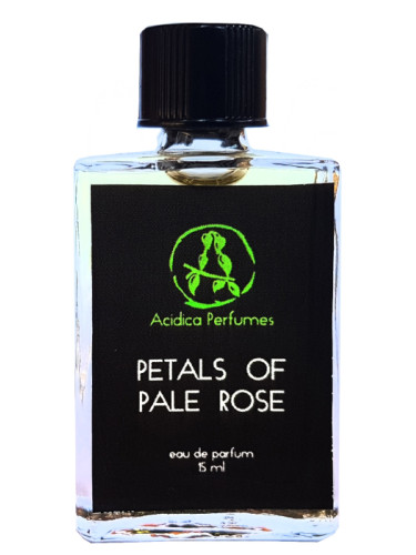 عطر ادکلن پتلز آو پیل رز آسیدیکا پرفیومز - Petals of pale rose Acidica Perfumes - بررسی، قیمت و خرید