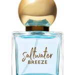 عطر ادکلن سالواتر بریز بث اند بادی وُرکس - Saltwater Breeze Bath & Body Works - بررسی، قیمت و خرید