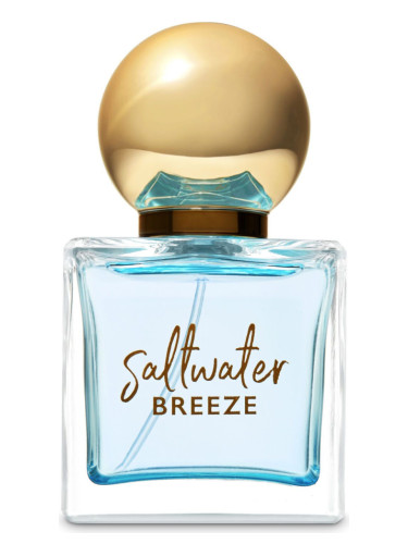 عطر ادکلن سالواتر بریز بث اند بادی وُرکس - Saltwater Breeze Bath & Body Works - بررسی، قیمت و خرید