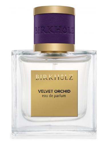 عطر ادکلن ولوت ارکید بیرکهولتز - Velvet Orchid Birkholz - بررسی، قیمت و خرید