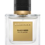 عطر ادکلن بلک وید بیرخولز - Black Weed Birkholz - بررسی، قیمت و خرید