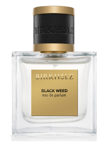 عطر ادکلن بلک وید بیرخولز - Black Weed Birkholz - بررسی، قیمت و خرید