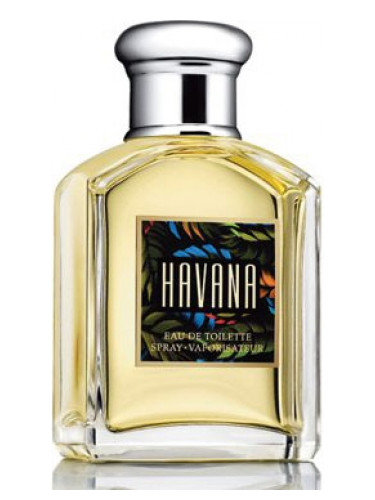 عطر ادکلن هاوانا آرامیس - Havana Aramis - بررسی، قیمت و خرید