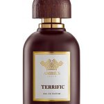 عطر ادکلن تریفیک امیریوس - Terrific Amirius - بررسی، قیمت و خرید