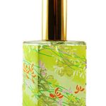 عطر ادکلن گه‌شا او-چا او دو پارفوم آروما ام - Geisha O-Cha Eau de Parfum Aroma M - بررسی، قیمت و خرید