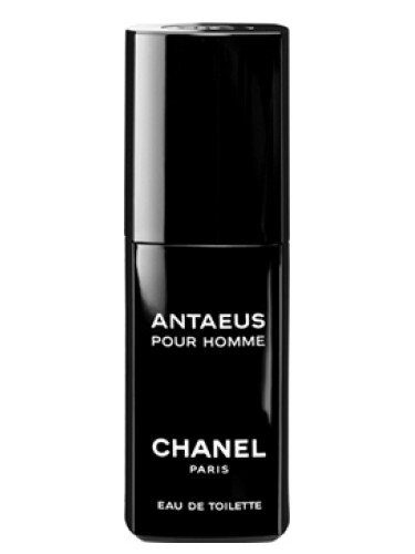 عطر ادکلن انتئوس شانل - Antaeus Chanel - بررسی، قیمت و خرید