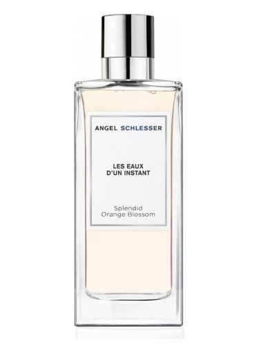 عطر ادکلن اسپلندید اورنج بلاسِم انجل اسلسر - Splendid Orange Blossom Angel Schlesser - بررسی، قیمت و خرید