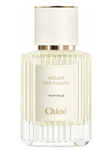 عطر ادکلن پاپیروس کلوئه - Papyrus Chloé - بررسی، قیمت و خرید