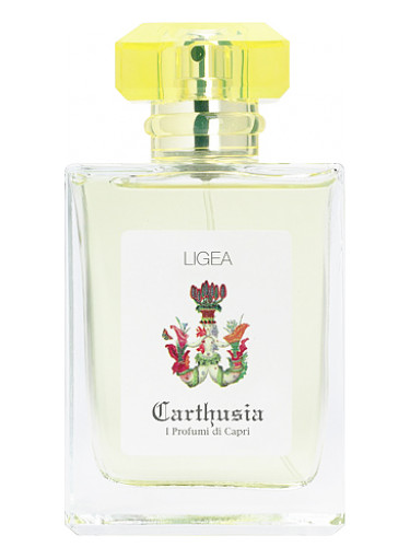 عطر ادکلن لایجا کارتوزیا - Ligea (Ligea la Sirena) Carthusia - بررسی، قیمت و خرید