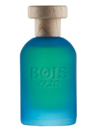 عطر ادکلن کانابیس سالاتا بویس ۱۹۲۰ - Cannabis Salata Bois 1920 - بررسی، قیمت و خرید