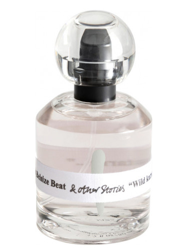 عطر ادکلن بلسایز بیت اند آدر استوریز - Belsize Beat And Other Stories - بررسی، قیمت و خرید