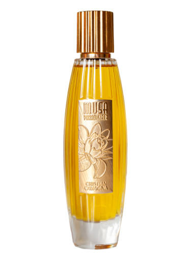 عطر ادکلن موسا پارادیسیاکا کریستین کاواگنا - Musa Paradisiaca Cristian Cavagna - بررسی، قیمت و خرید