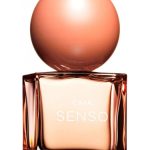 عطر ادکلن سنسو کایا - Senso Caia - بررسی، قیمت و خرید