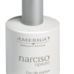 عطر ادکلن نارسیسو چیپریاتو آمریگو - Narciso Cipriato Amerigo - بررسی، قیمت و خرید