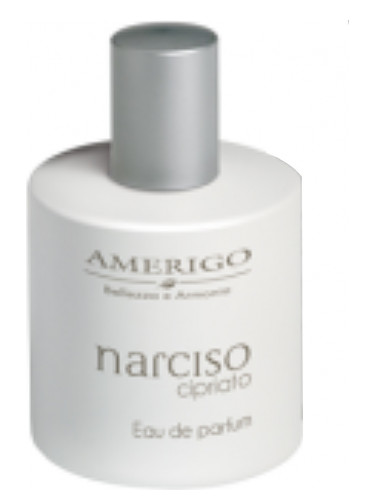 عطر ادکلن نارسیسو چیپریاتو آمریگو - Narciso Cipriato Amerigo - بررسی، قیمت و خرید