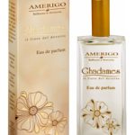 عطر ادکلن غدامس آمریکو - Ghadames Amerigo - بررسی، قیمت و خرید