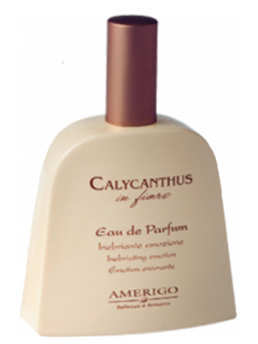 عطر ادکلن کالیکانتوس این فیوره آمریگو - Calycanthus In Fiore Amerigo - بررسی، قیمت و خرید