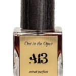 عطر ادکلن اوت این د اوپن اِی سیزده - Out In The Open A13 - بررسی، قیمت و خرید