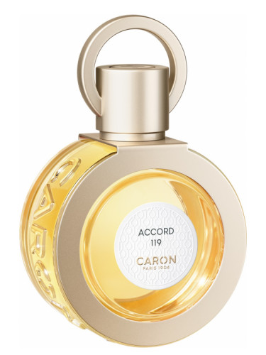 عطر ادکلن اکورد یکصد و نوزده (بیست و بیست و یک) کارن - Accord 119 (2021) Caron - بررسی، قیمت و خرید