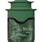 عطر ادکلن هایکو اینتنس ایوون - Haiku Intense Avon - بررسی، قیمت و خرید