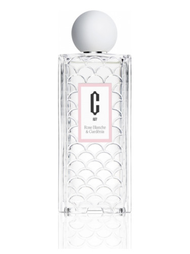 عطر ادکلن رز بلانش و گاردنیا کارلوتا ری - Rose Blanche & Gardénia Carlotha Ray - بررسی، قیمت و خرید