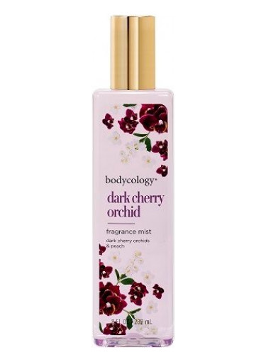 عطر ادکلن دارک چری ارکید بادیکالوجی - Dark Cherry Orchid Bodycology - بررسی، قیمت و خرید