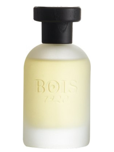 عطر ادکلن کلاسیک پارادایس بویز ۱۹۲۰ - Classic Paradise Bois 1920 - بررسی، قیمت و خرید