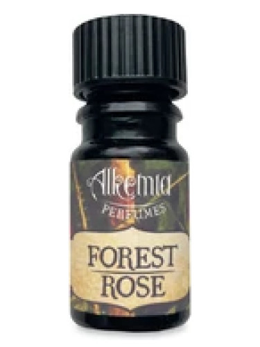 عطر ادکلن فورست رز آلکمیافِرِیومز - Forest Rose Alkemia Perfumes - بررسی، قیمت و خرید