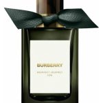 عطر ادکلن میدنایت جرنی باربری - Midnight Journey Burberry - بررسی، قیمت و خرید