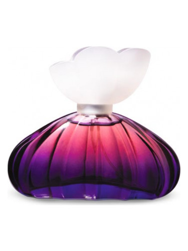 عطر ادکلن فلورال میستری آبله راینها - Floralle Mystery Abelha Rainha - بررسی، قیمت و خرید