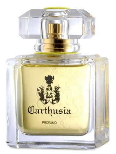 عطر ادکلن مدیترانه پرفیوم کارتوزیا - Mediterraneo Parfum Carthusia - بررسی، قیمت و خرید