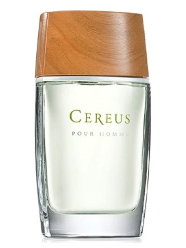 عطر ادکلن سریس نامبر سیکس سریوس - Cereus No. 6 Cereus - بررسی، قیمت و خرید
