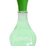 عطر ادکلن فمینی بلاسان ویل - Feminy Blosson Ville - بررسی، قیمت و خرید