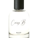 عطر ادکلن مود کُویسی بی - Mood Coisy B. - بررسی، قیمت و خرید