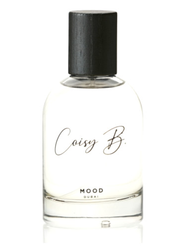 عطر ادکلن مود کُویسی بی - Mood Coisy B. - بررسی، قیمت و خرید