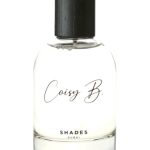 عطر ادکلن شیدز کواِسی بی - Shades Coisy B. - بررسی، قیمت و خرید