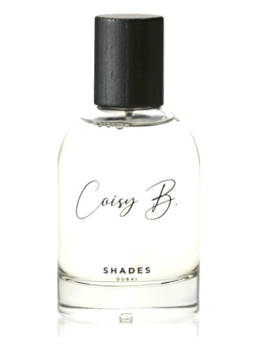 عطر ادکلن شیدز کواِسی بی - Shades Coisy B. - بررسی، قیمت و خرید