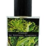عطر ادکلن اسکارلت بافامسن فراگرنس - Scarlet Bahfamsn Fragrance - بررسی، قیمت و خرید