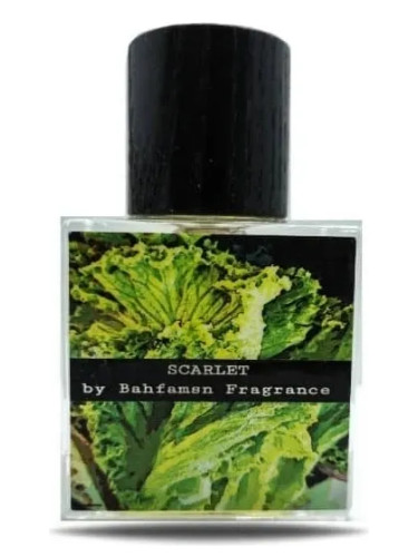 عطر ادکلن اسکارلت بافامسن فراگرنس - Scarlet Bahfamsn Fragrance - بررسی، قیمت و خرید