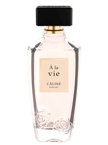 عطر ادکلن آلاوی کالین - À La Vie Câline - بررسی، قیمت و خرید