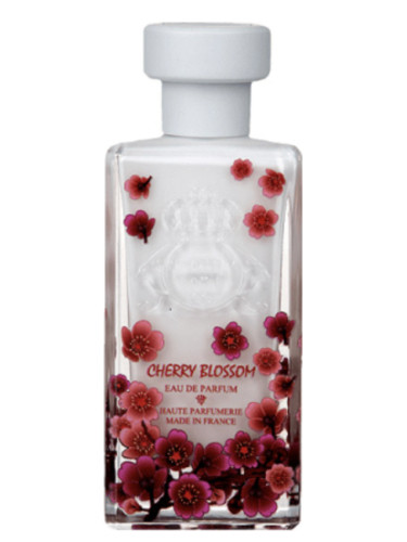 عطر ادکلن چیری بلوسام عطر الجزیرة - Cherry Blossom Al-Jazeera Perfumes - بررسی، قیمت و خرید