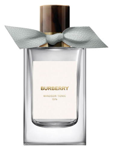 عطر ادکلن ویندزور تونیک بربری - Windsor Tonic Burberry - بررسی، قیمت و خرید