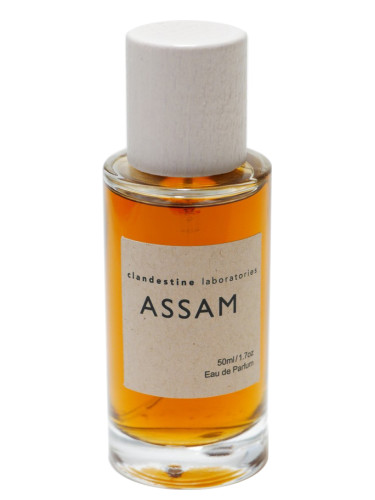 عطر ادکلن آسام کلندستاین لابراتوریس - Assam Clandestine Laboratories - بررسی، قیمت و خرید