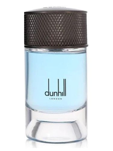 عطر ادکلن نوردیک فوژه‌ر آلفرد دانهیل - Nordic Fougère Alfred Dunhill - بررسی، قیمت و خرید
