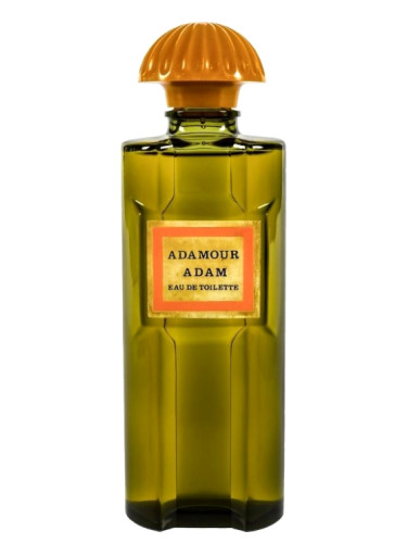 عطر ادکلن آدامور آدام - Adamour Adam - بررسی، قیمت و خرید