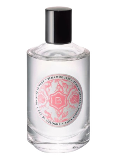 عطر ادکلن روزا رجینا بنامور - Rosa Regina Benamôr - بررسی، قیمت و خرید